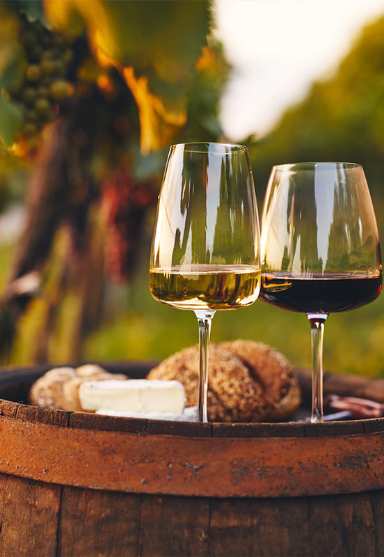 Wineries near Kamloops